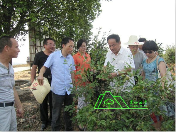 江西省油茶辦主任、工程師孫勇、省科技廳農(nóng)村工作處副處長、副調(diào)研員尹伊等基地指導(dǎo)工作