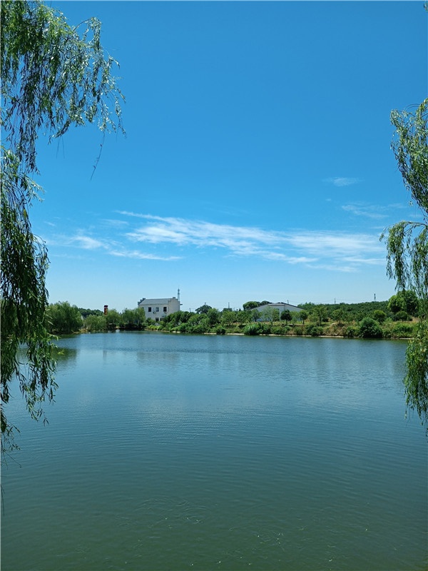 基地水景